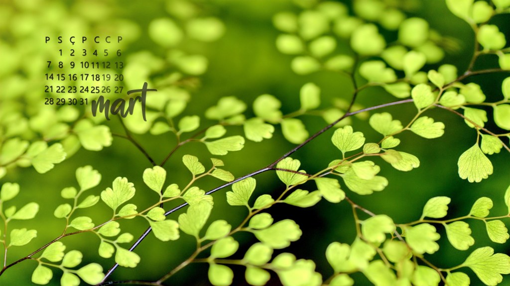 yeşil dallar arka plan