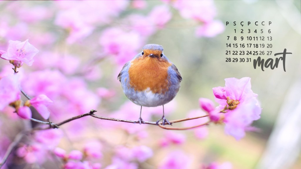 Çiçek dalında kuş arkaplan