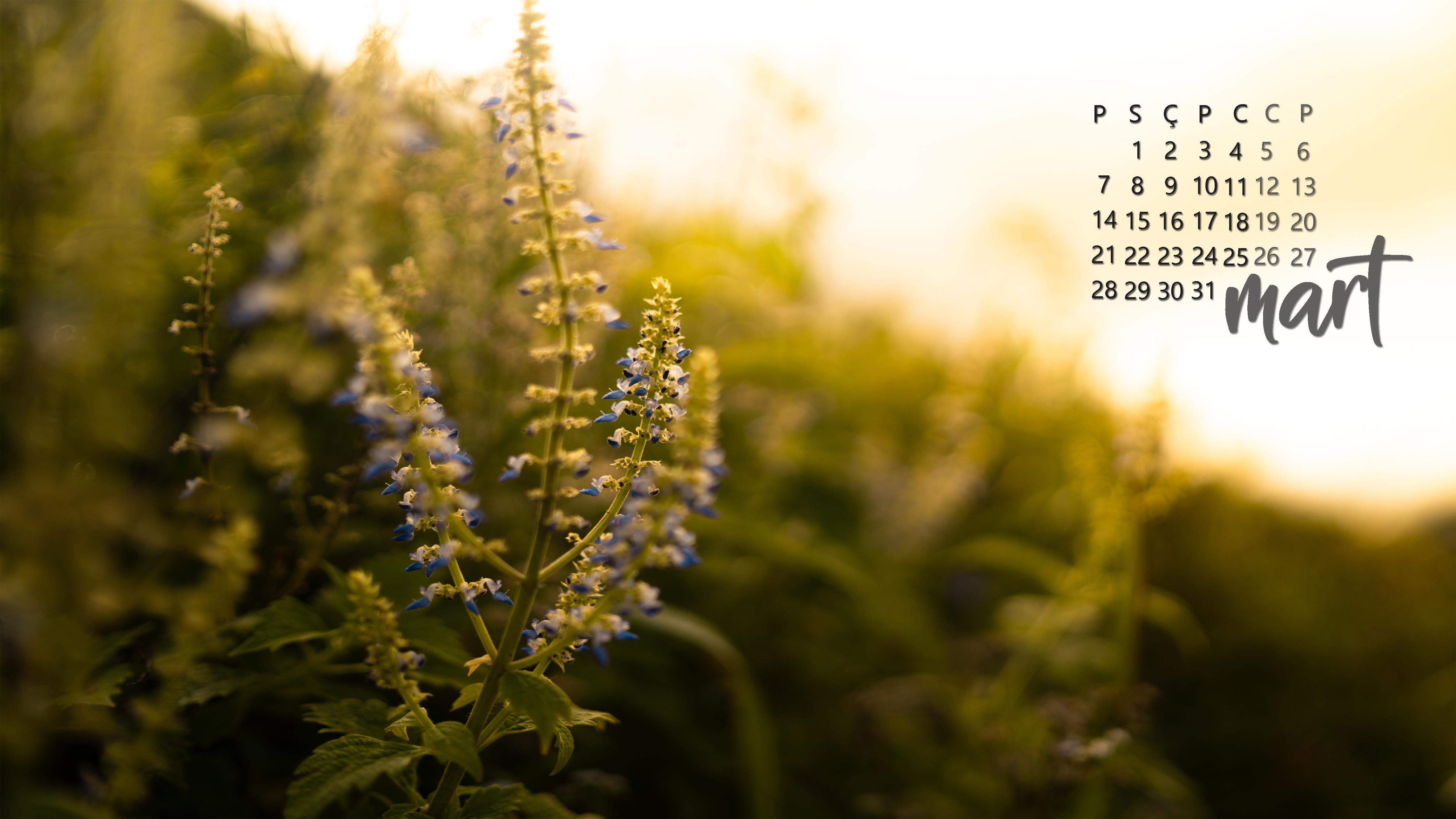 Mart baharı, yeşil arka plan